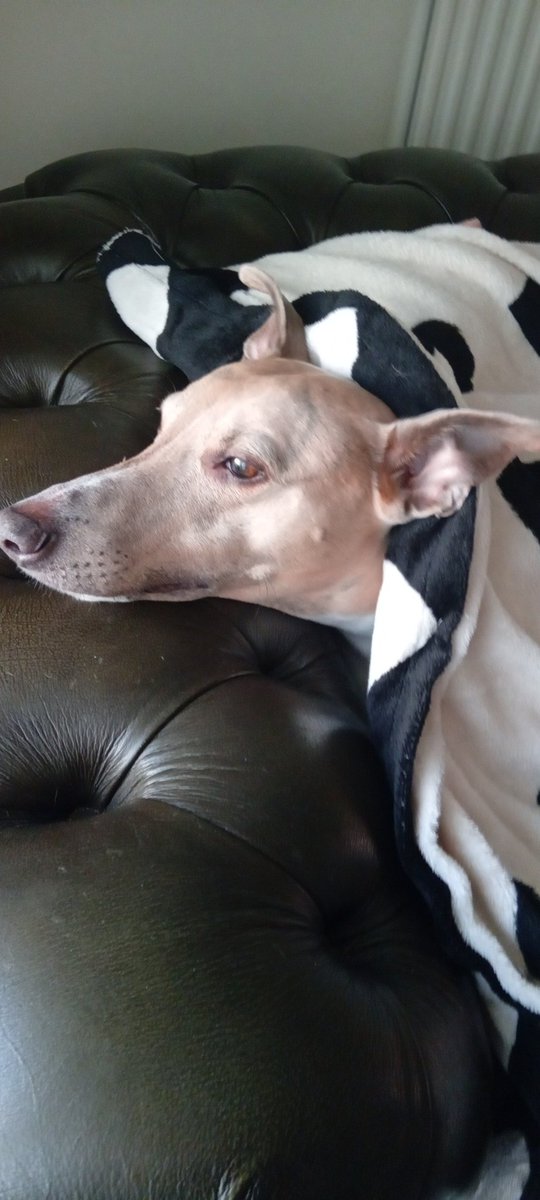 Watching world go by 😃