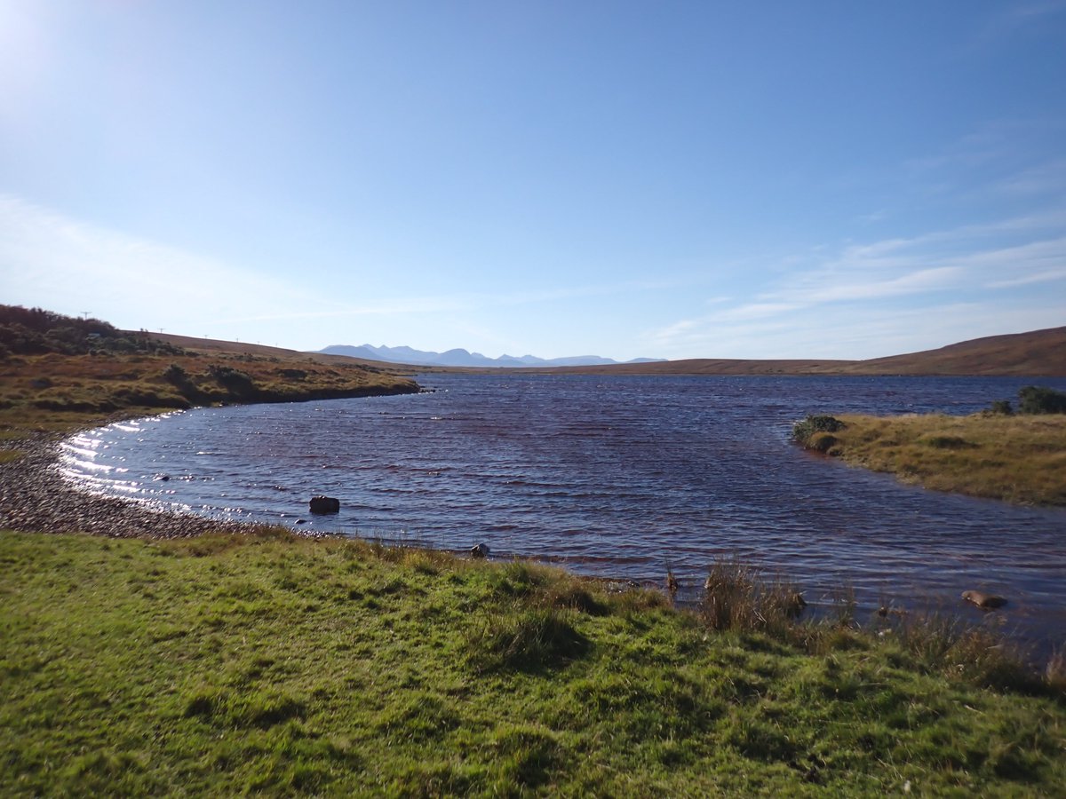 WSFTrust's tweet image. #FridayChallenge Another from this year, but where were we?