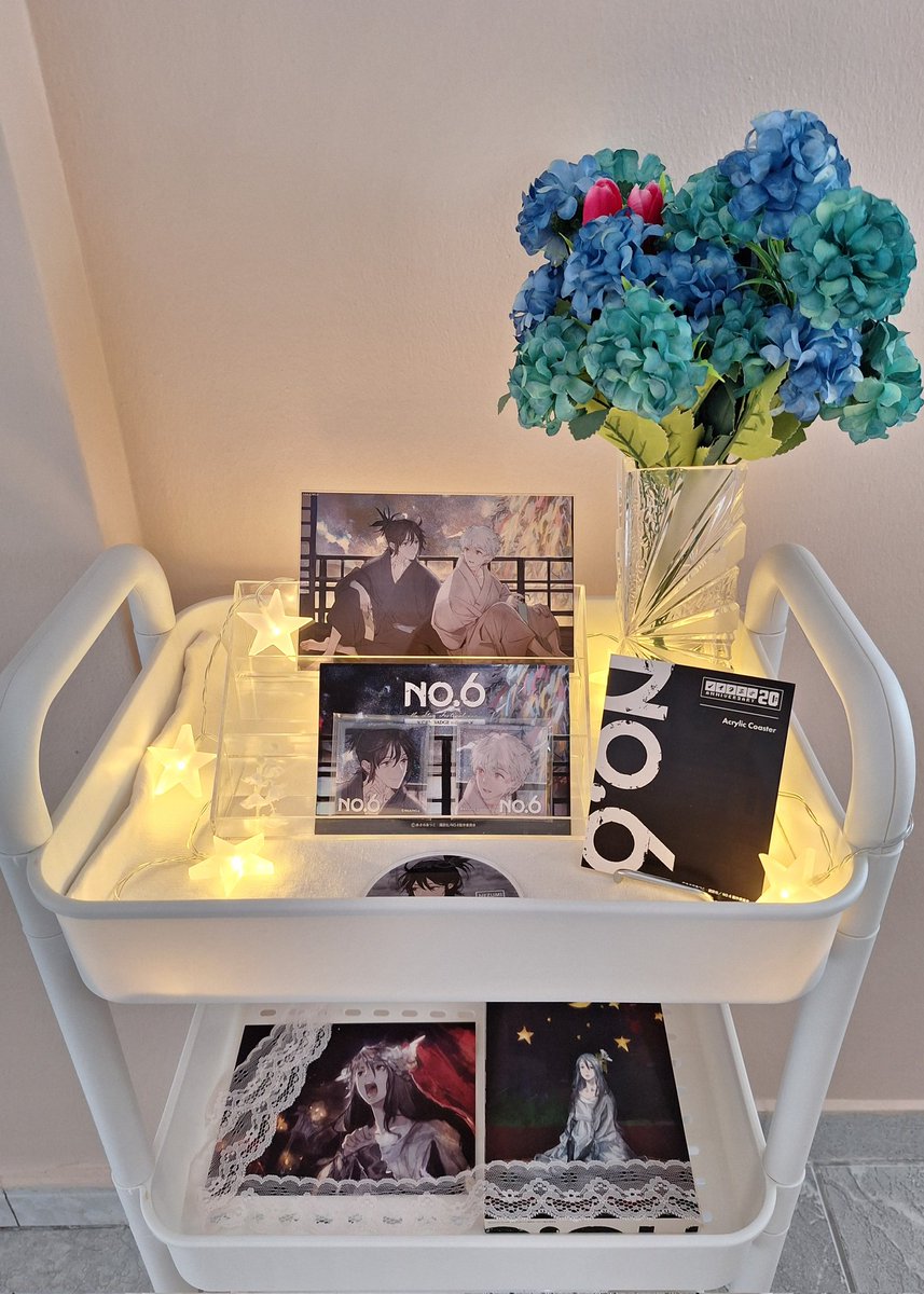 ___ash__lynx__'s tweet image. Rokutosei no yoru NO.6 display - star lights on version 🌟

#aimer
#あさのあつこ
#kodansha