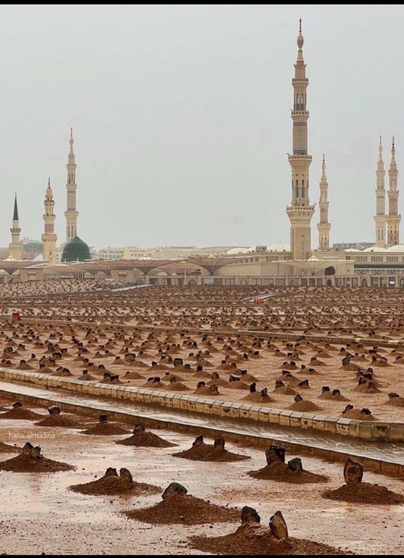 وفيات المدينة المنورة tweet media