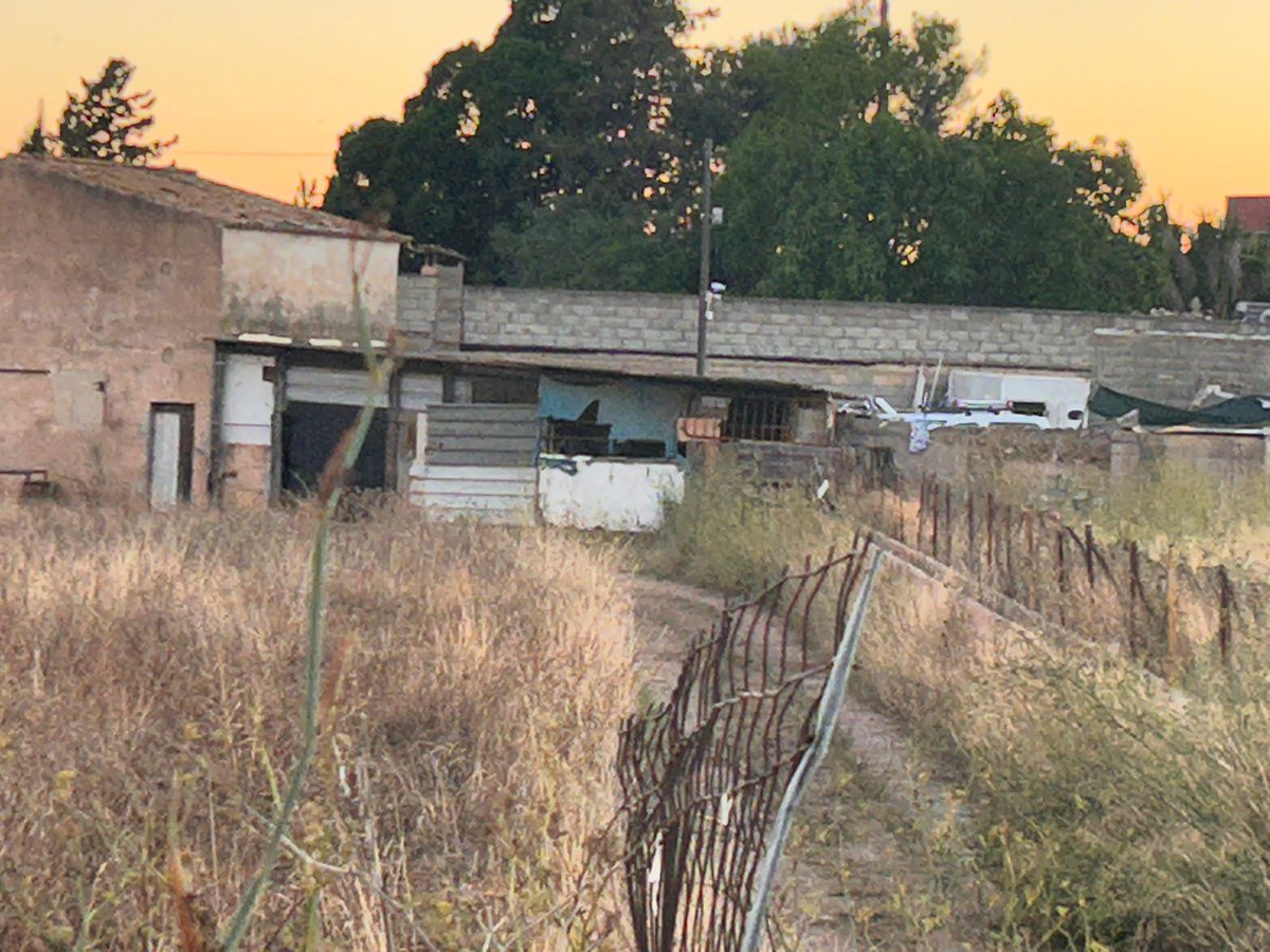 ProgresoenVerde's tweet image. El @ajuntpalma @JaimeMartinez y la @AgriculturaGOIB siguen permitiendo que los caballos de las galeras malvivan en los establos de los horrores y que algunos conductores vivan al margen de las leyes y ordenanzas. ¡¡¡Basta ya!!!