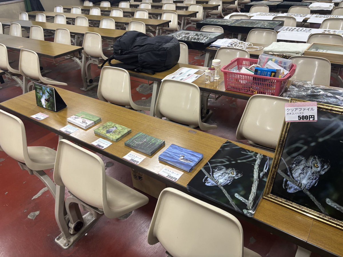 seiken305's tweet photo. 物販の売り場の様子です

カレンダー、ポストカード、クリアファイルの３つを販売します

駒場祭は11/22〜24の３日間です、是非お越しください！ https://t.co/baG6VCliYK