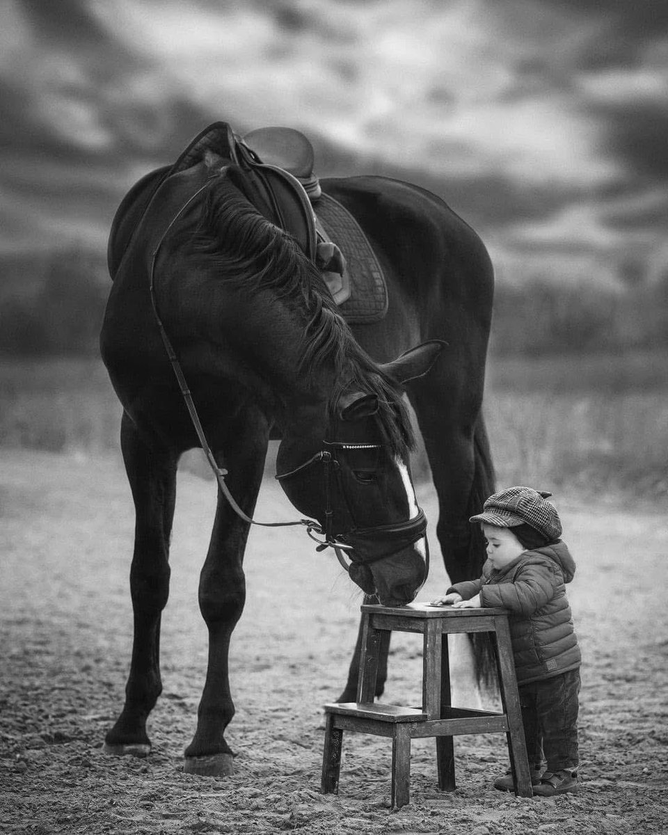 Lily (@sweetmystery21) on Twitter photo 