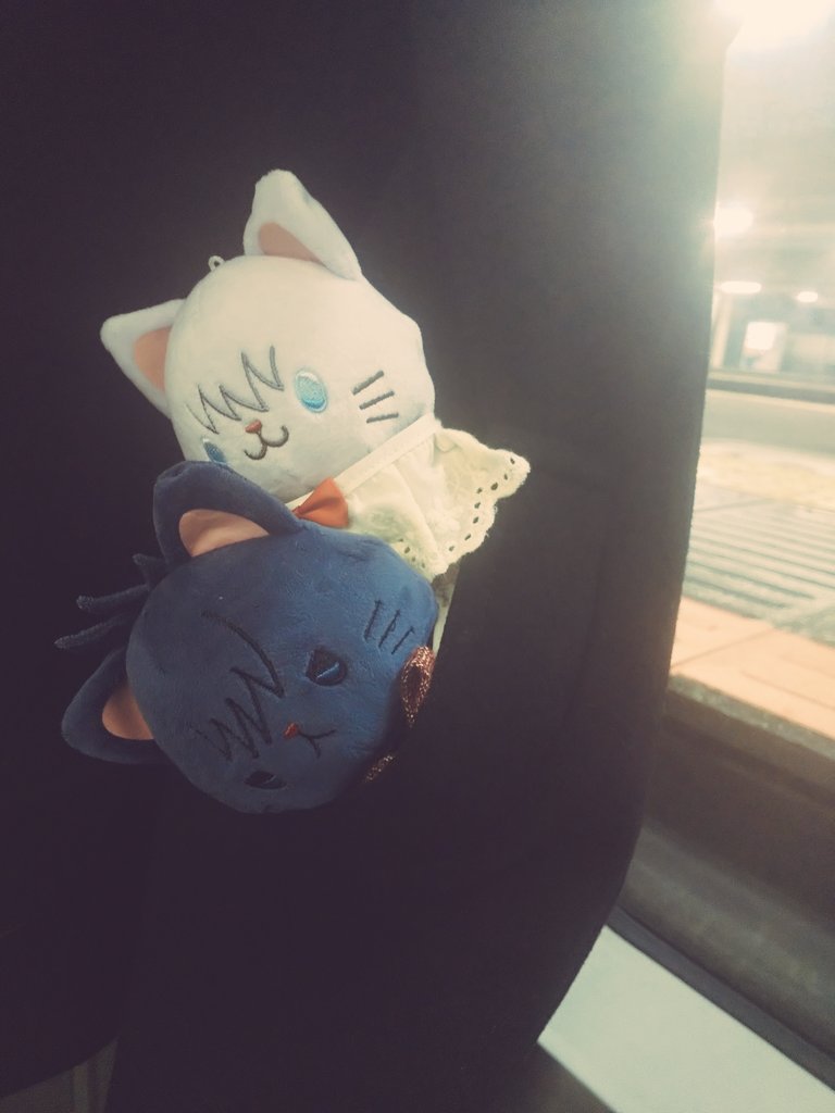 さっち🍺 (@sa_cc1_sa) / Posts / X