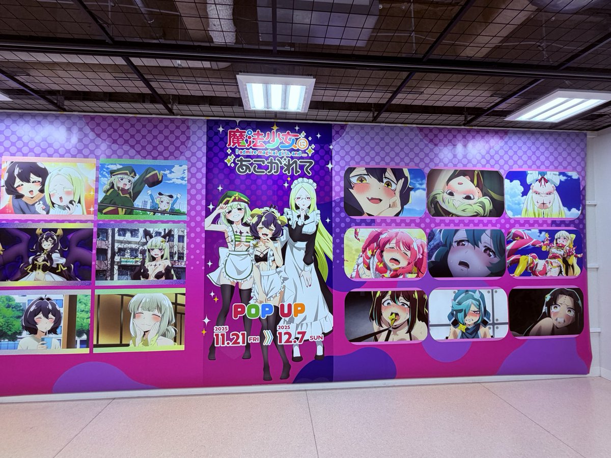 マリリン🥝🔞2日目東D11a (@Marilyn12_25) / Posts / X