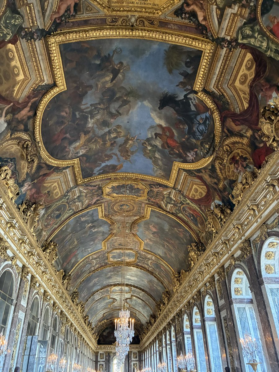 Wildkatze tweet media