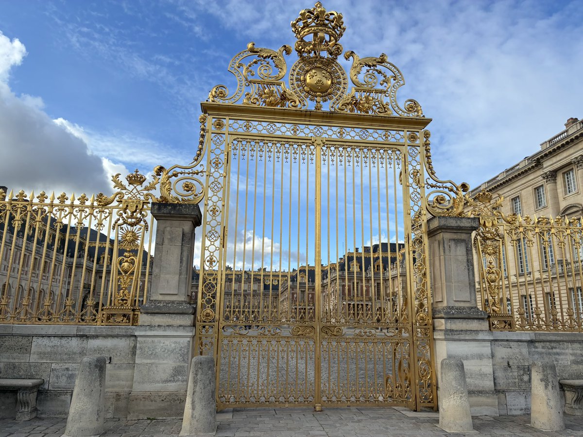 Wildkatze tweet media