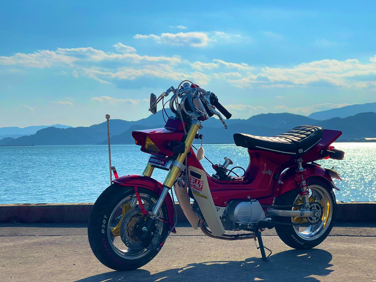 キャベツ太郎 (@JADExCBX) / Posts / X