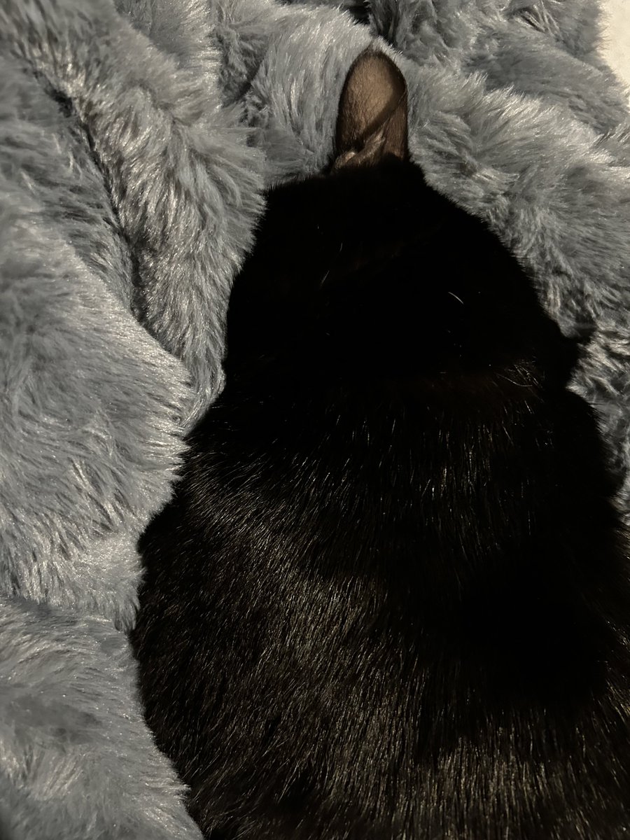 それ息できます？