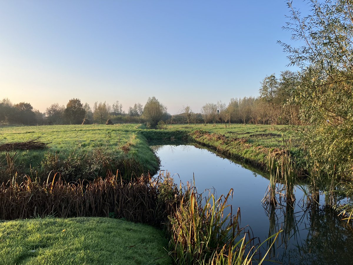 Gerhardhormann's tweet image. Dit is de #herfst op z’n best: bijna winters koud, zonnig, windstil.