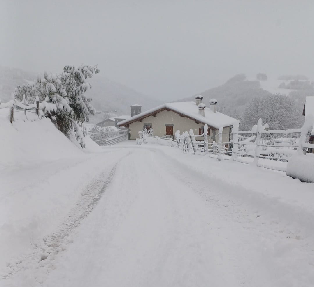 35cm de nieve fresca en #Beruete #Basaburua (700m)

Empieza fuerte el invierno 🥶