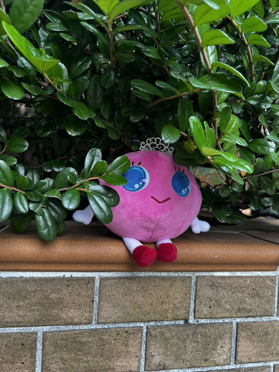 tainew_chocolat's tweet image. ショコラはここかもしれません・・・

#わたしのパワースポット