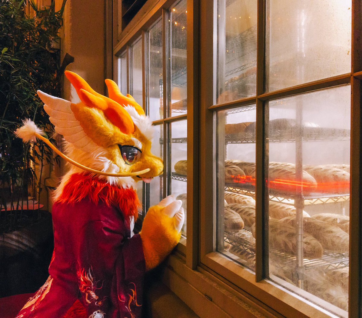 Can I have one?🥺

📷:<a href="/zeni_folf/">Zeni 🔜 MFF, FC, NFC</a> 
🪡:<a href="/qian_xuan777/">Lamya QX-3571</a> <a href="/_RYOKOwO/">sakura-ryoko</a>/<a href="/DRAs_CN/">DRA.s</a>
#FursuitFriday #DRAS