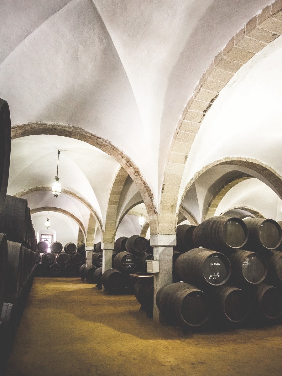 El envejecimiento del Brandy de Jerez arranca en la destilación y se desarrolla mediante el tradicional Sistema de Criaderas y Solera.

#BrandyDeJerez
#BodegasDíezMérito
#Jerez

diezmerito.com