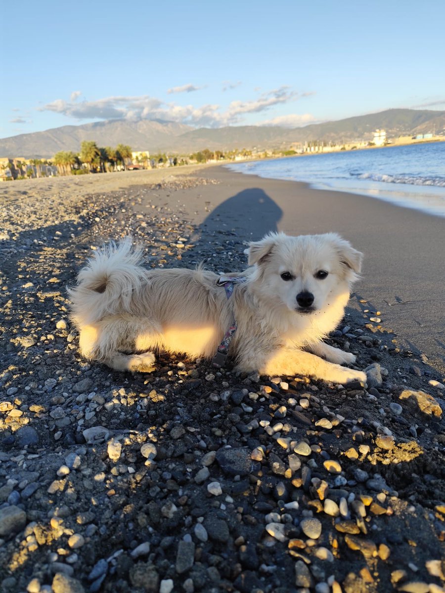 SolidWack's tweet image. 