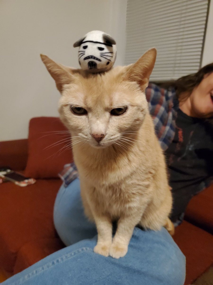 fIametrooper's tweet image. 