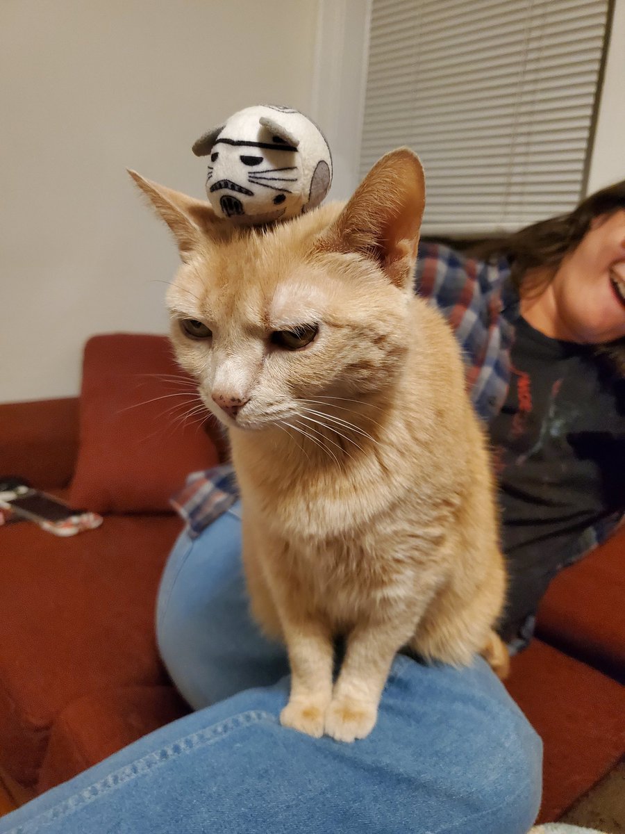 fIametrooper's tweet image. 