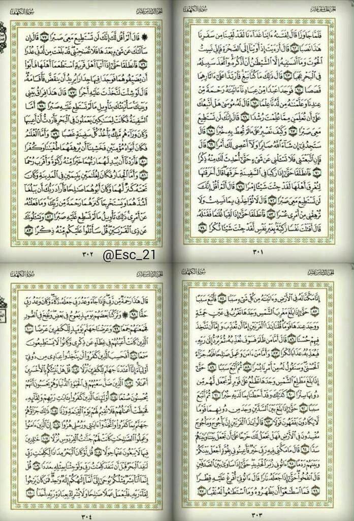 قورجس tweet media