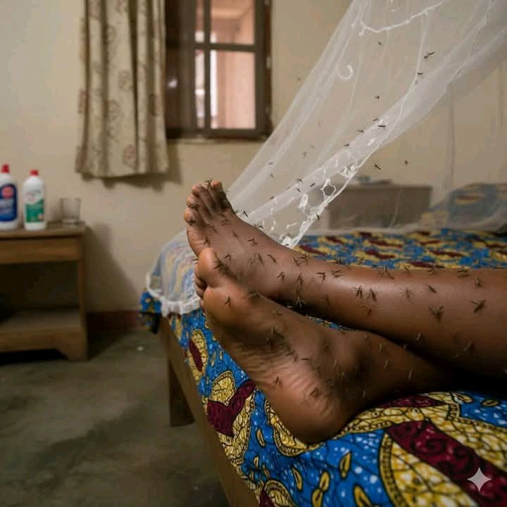 KyazzeMuhammed's tweet image. The people of Uganda 🇺🇬  ##protest vote 🗳 #freedom every one must sleep under mosquito net to avoid marelia.
