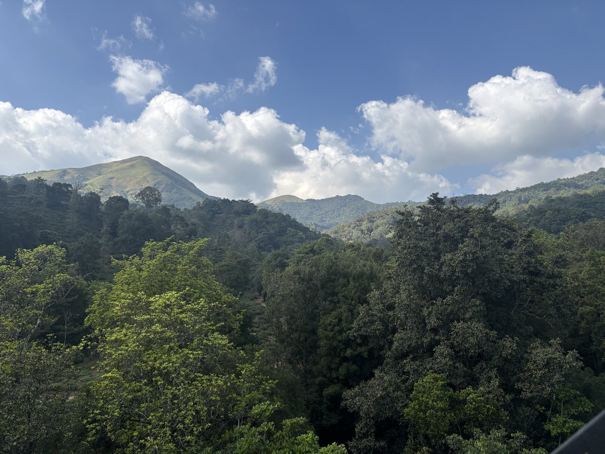 AviralAsthana10's tweet image. I’ve now lived working from a hills for straight month.
One of the big tasks from my bucket list is sooo done.
Grateful!!
#remote #remotesoftwaredevelopment 
#workinginthehills 
#SoftwareEngineering