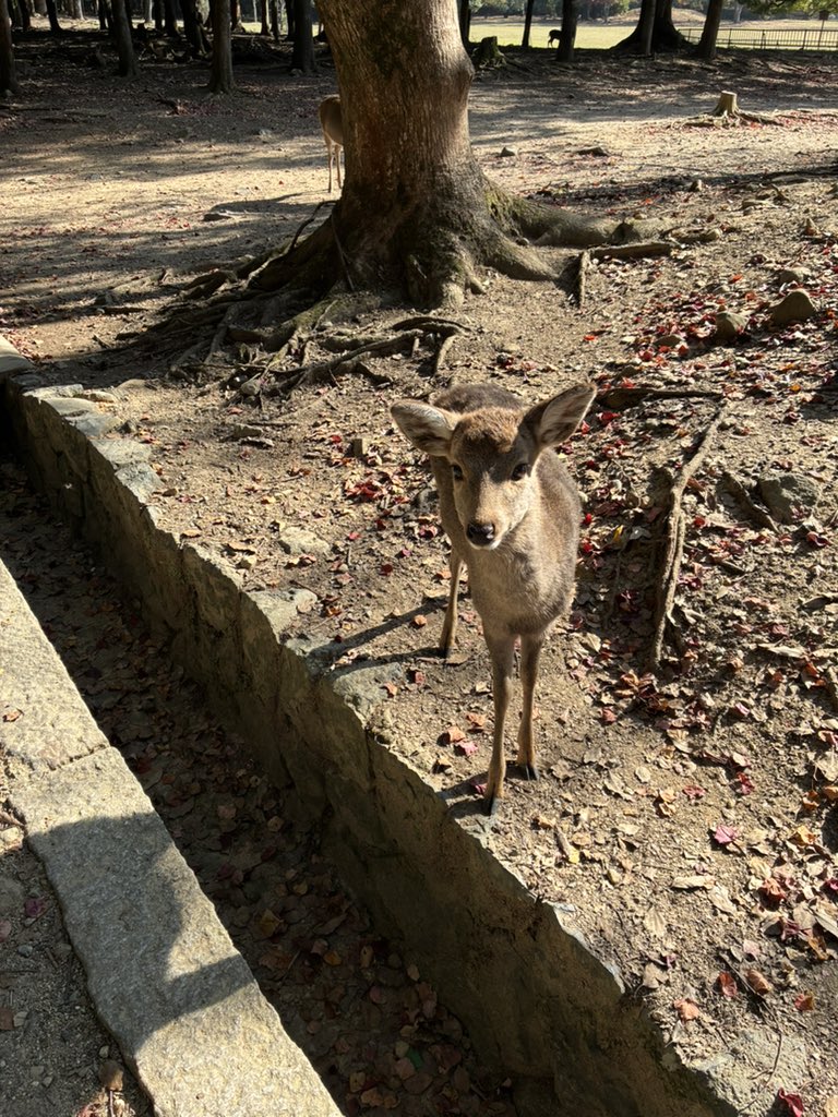 Cloudy (@cloudy57854044) on Twitter photo 