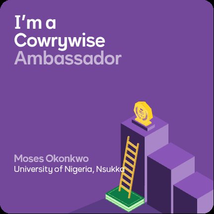 M. Chidera okonkwo tweet media