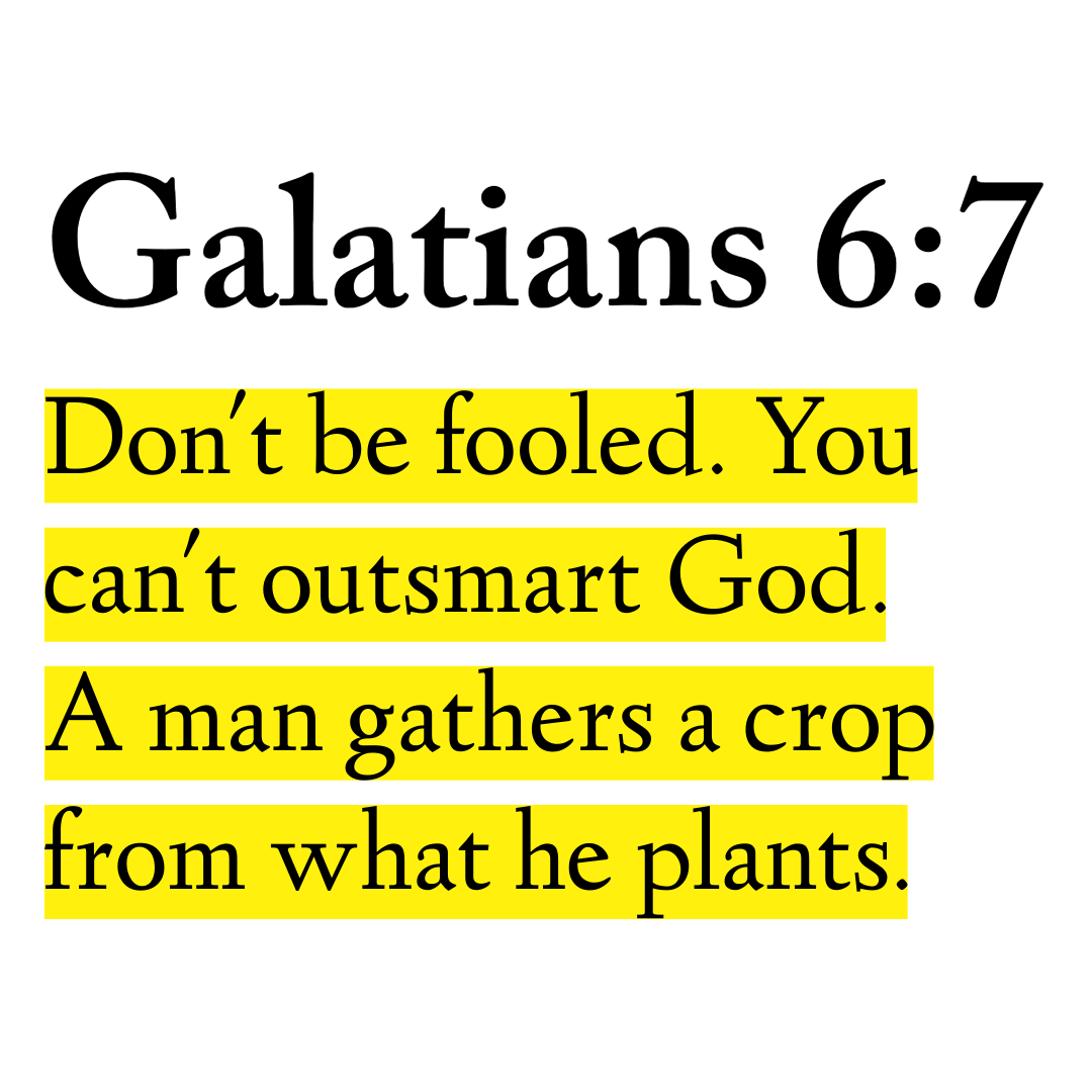 BibleWisdom's tweet image. 