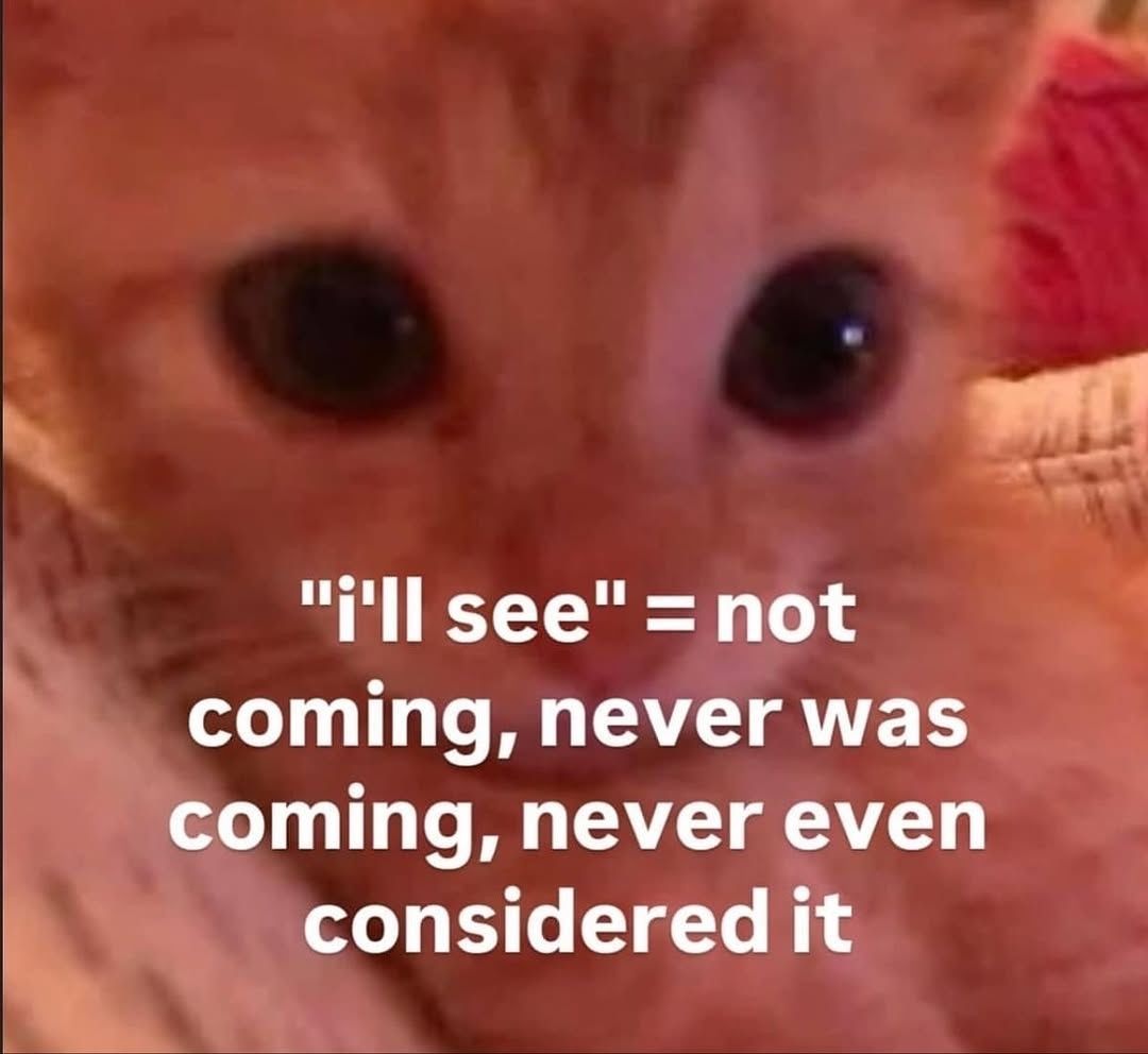 Shoota (@shootacat) on Twitter photo 