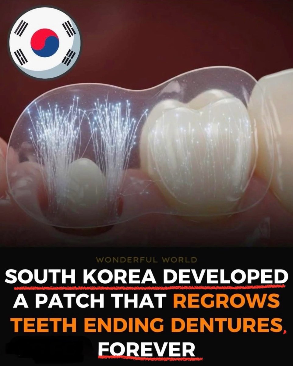 Can you imagine what the US could do if it’s politicians and government focused on improving and enriching the lives of its citizens instead of waging chaos and war, destruction, and putting foreign countries on a pedestal?