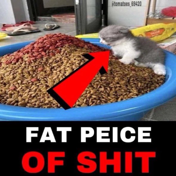 weed𓆟 (@yurimusings) on Twitter photo 