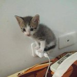 Photo by ‍‍ ‍ ‍𝕭𝑬𝐓 ‍‍‍ ‍ᴼᴺ ‍ ‍𝐓𝐑𝑨𝐆𝕰𝐃𝐘. ‍ (@earnedamnation)