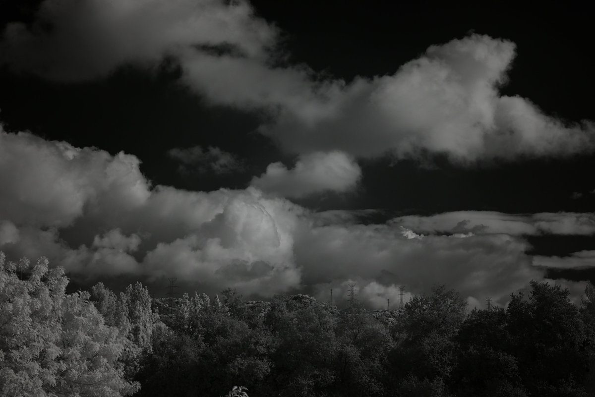 Austin_Crum_B's tweet image. Here is an image I made today with my 850nm filter. I set a custom white balance with a white card. The balance is straight out of camera. 
#photo #infrared #photography #Nikon #nature #monochrome