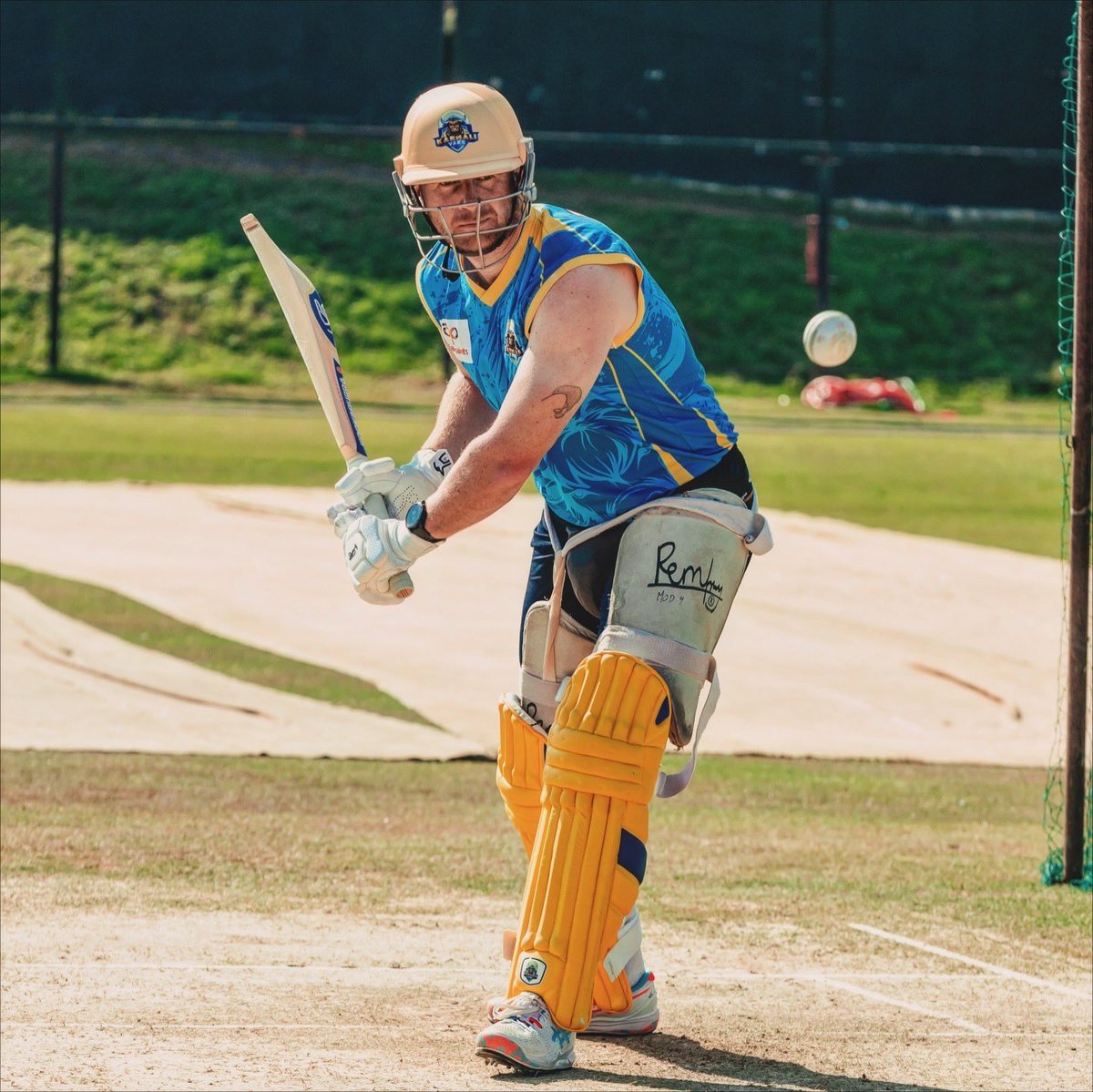 Maxwell O'Dowd tweet media