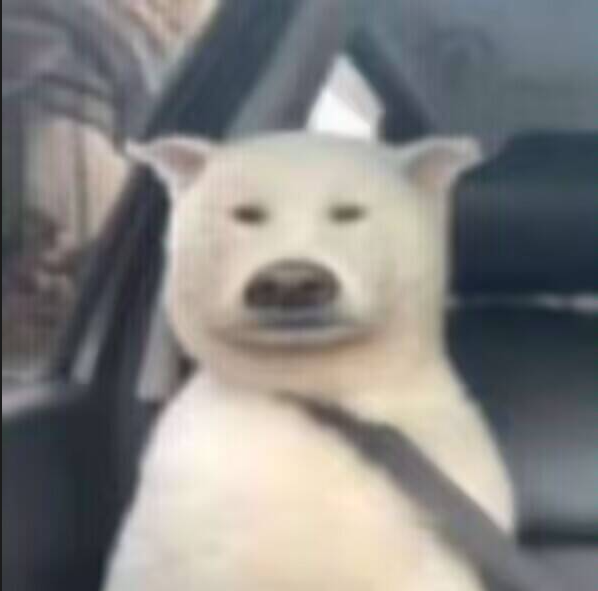 关于币圈还在跌但是我空单已经止盈完了这件事。
关于币圈还在跌导致我多单多次止损这件事。
等加速吧。