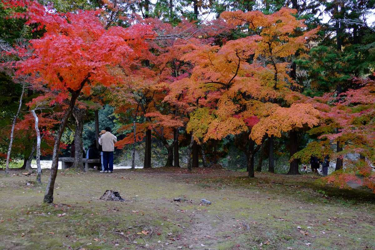 ももたろう✨様♡ありがとうございます♡ ももたろう (@momotaro_idol) / Posts / X