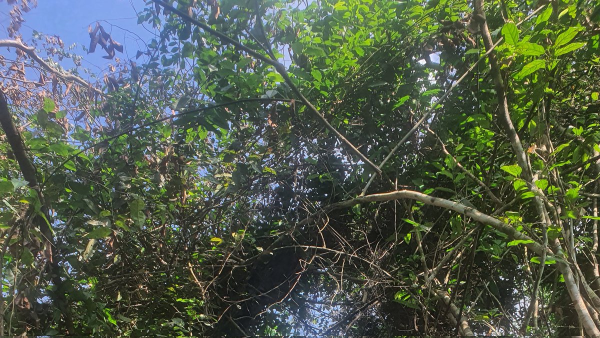 Exo_dus7's tweet image. Gm CT.

say it back.

it&apos;s a good day to have a great day.                                                                                                                                                                                                                       

woke…