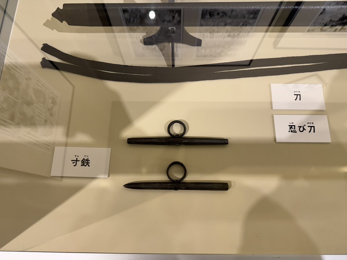 N2G2C2's tweet image. たぶんフォロワーさんが一番見たいやつ