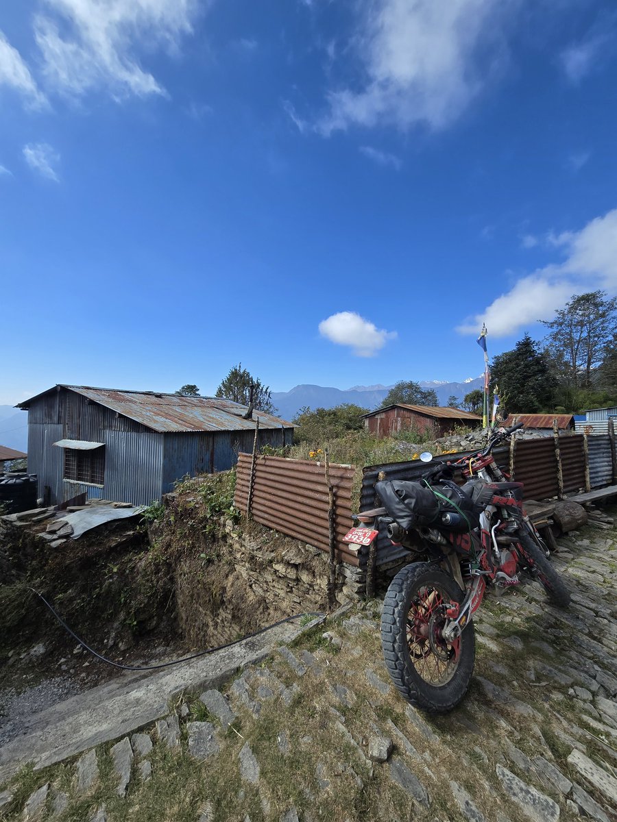 vickyved's tweet image. 