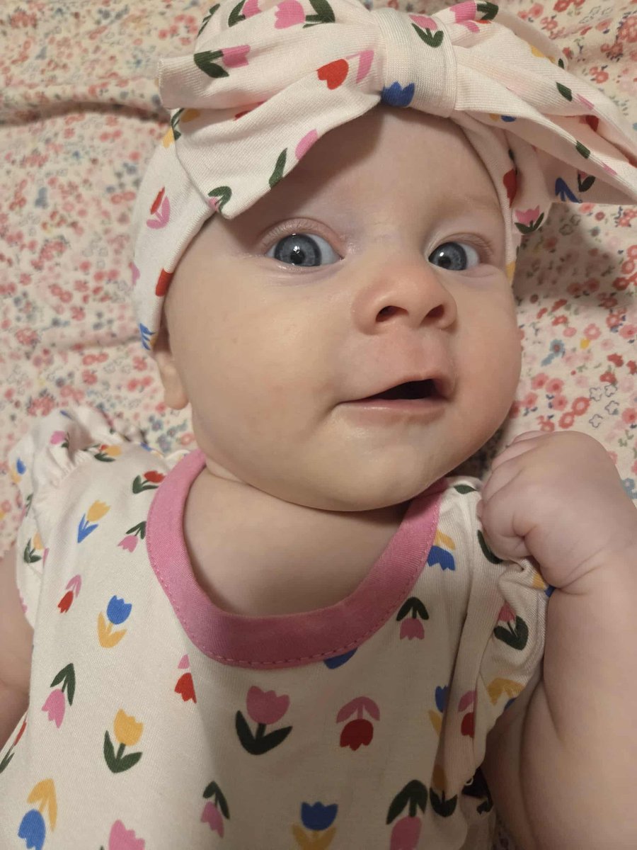 🅱️ernE tweet media