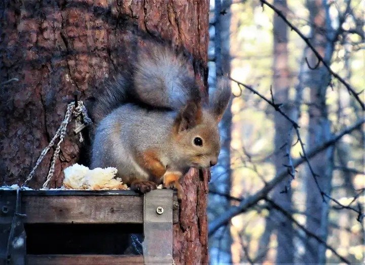 Stan Nasonov (@nasonovstan) on Twitter photo 