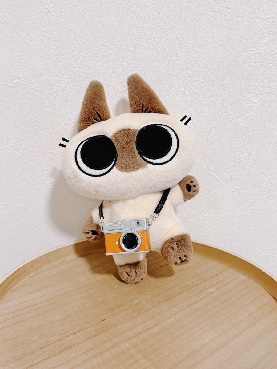 のべ子とシャム猫あずきさん (@yamanobejin) / Posts / X