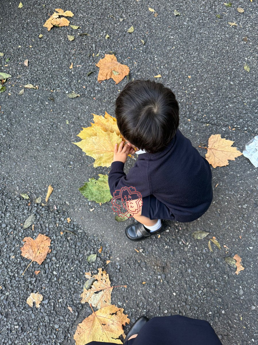 biancachan_c's tweet image. 3歳おめでとう🧸