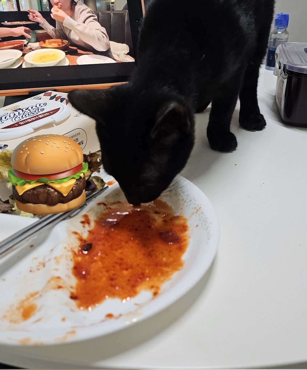 헉 깜고들은 전체적으로 다 식탐이 많을까요?
저희집 깜고도 김치국물마저 야르~♡ 하고 핥아묵어요 ... .