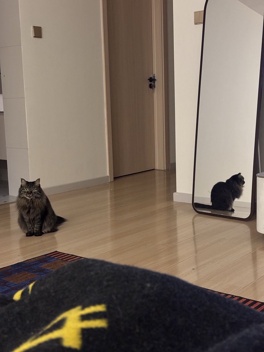 入圈就是22年比特币一万多的深熊一路走到狂牛，转熊行情应该怎么玩有点束手无措