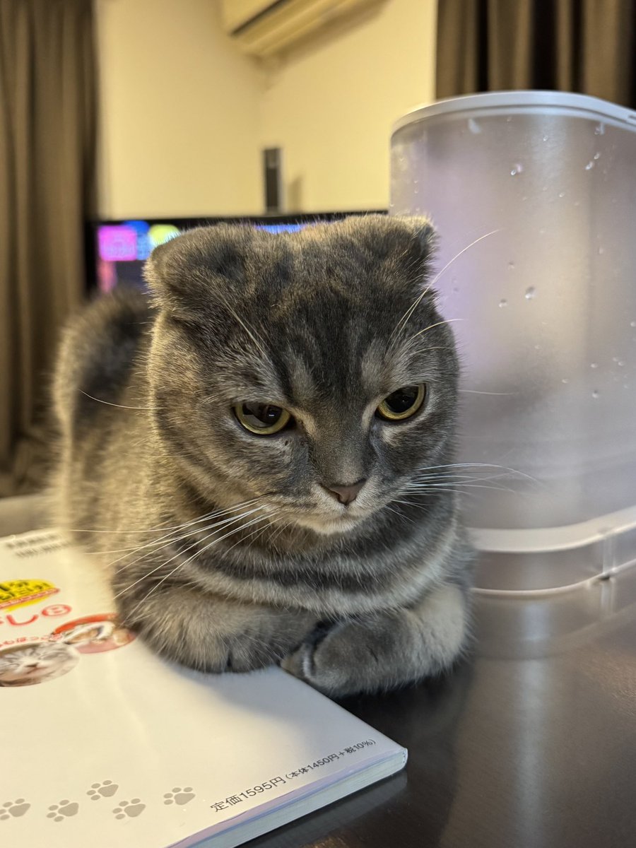 LEO/レオさまの日々 (@LEOsamananonano) / Posts / X