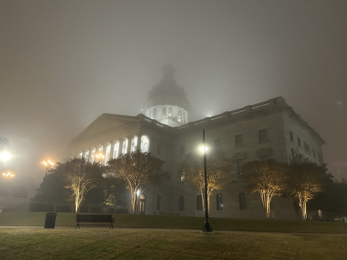 v0mitac0's tweet image. It foggy