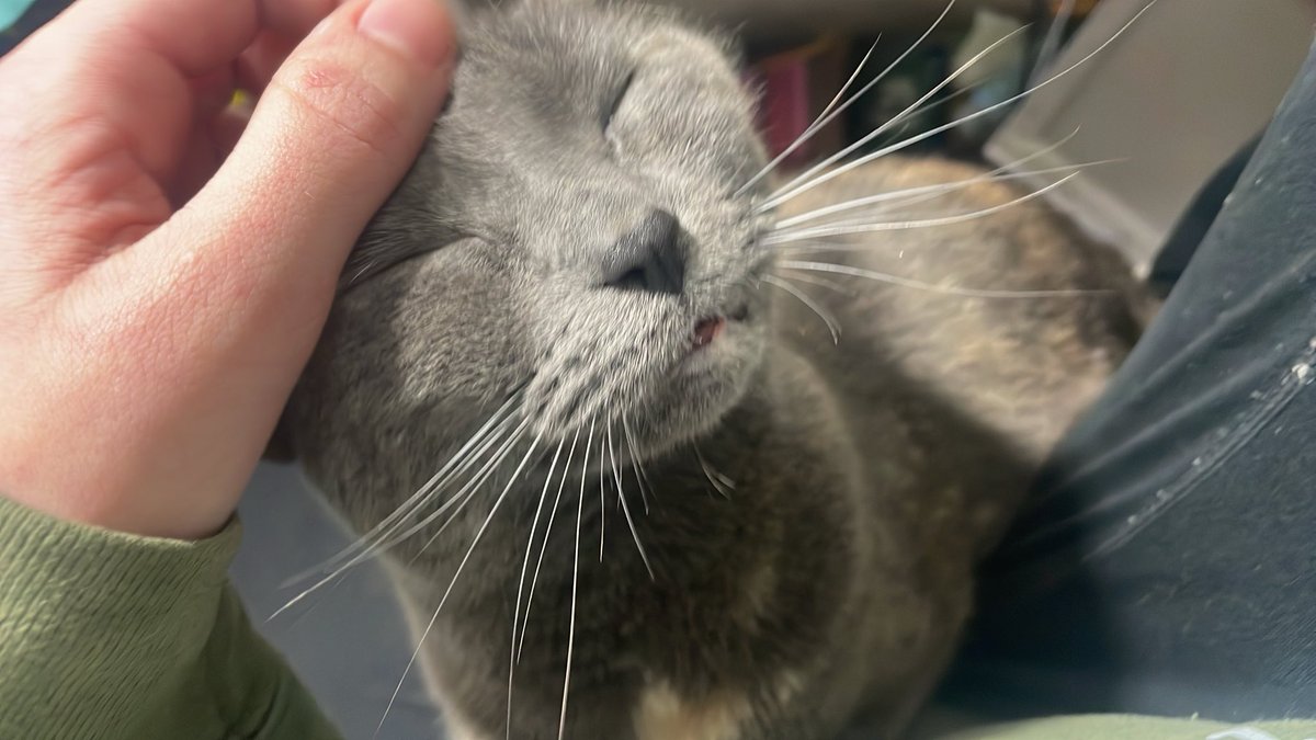 madiicyn's tweet image. 