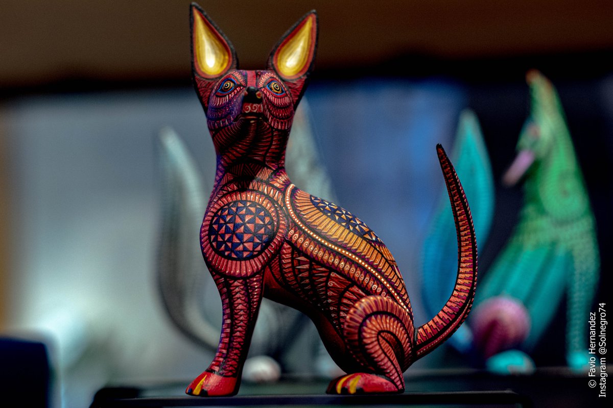 solnegro74's tweet photo. Piezas únicas con coloridos diseños, así son los #alebrijes de #SanMartinTilcajete en #Oaxaca, #Mexico.

Desde la selección de la rama del árbol, secado, curado, tallado y pintado una pieza puede demorar en constuirse hasta medio año.

#arte #craft #fotografia #artesania #pintura https://t.co/Gzo8HbGenZ