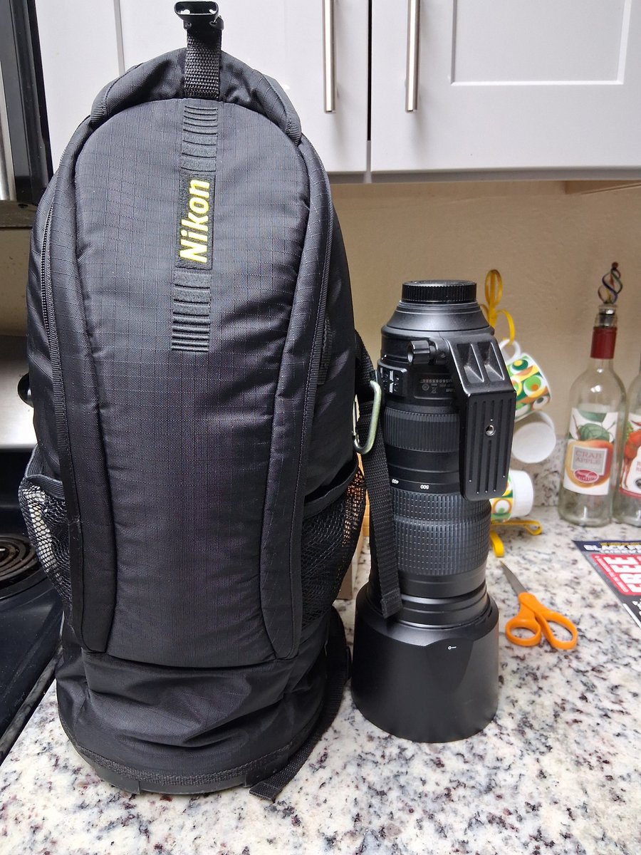 Took my son to dinner earlier this week and he finally returned my longest lense. I got a month to get a few more shots for my mom's yearly bird calendar. I need a Stellars Jay, American dipper, mountain chickadee and maybe a rosy finch if we get some bad weather.