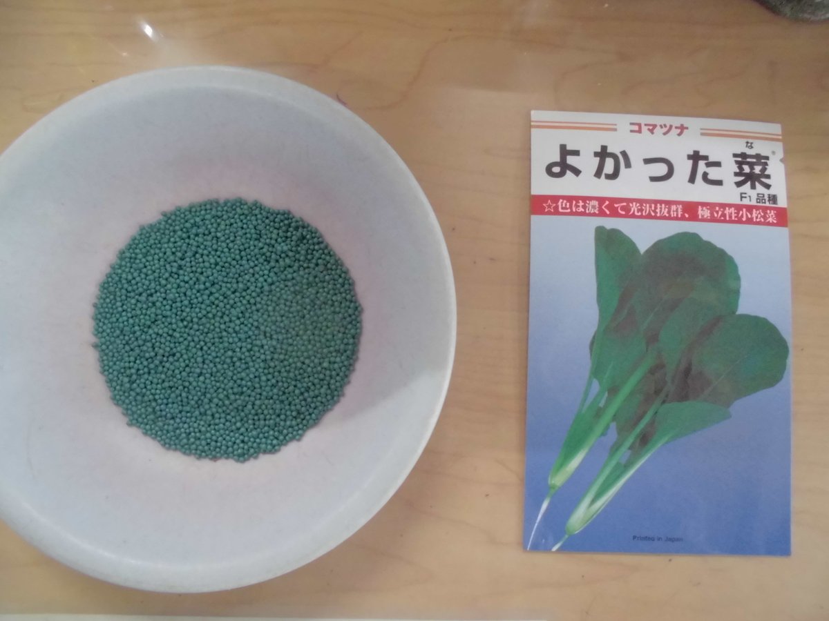 こまつなページ 小松菜